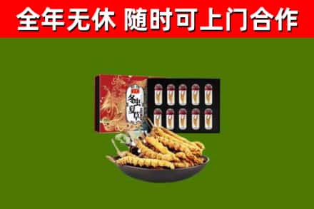 天元烟酒回收冬虫夏草礼盒.jpg